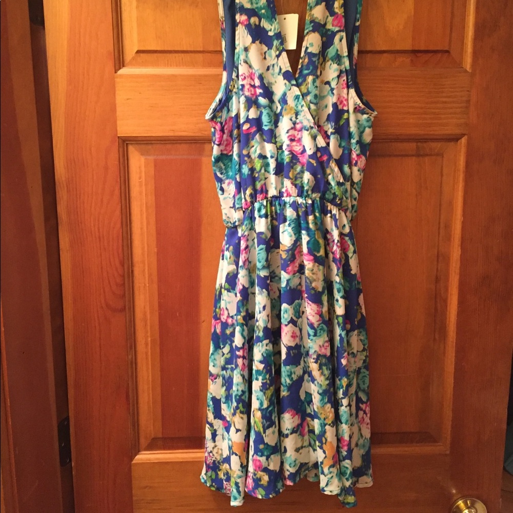 Lush Floral Print Dress